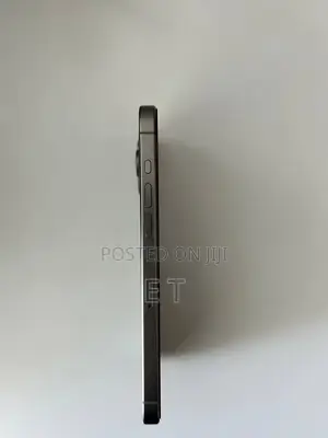 Apple iPhone 15 Pro Max 256 GB