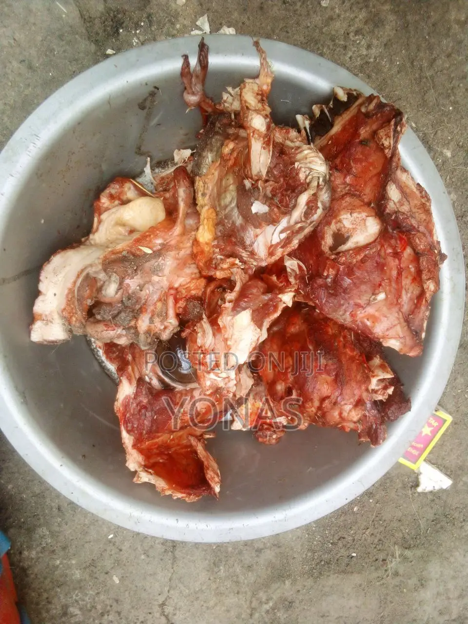 የዉሻ ምግብ የበግ፣የበሬ፣የፍየል ስጋ