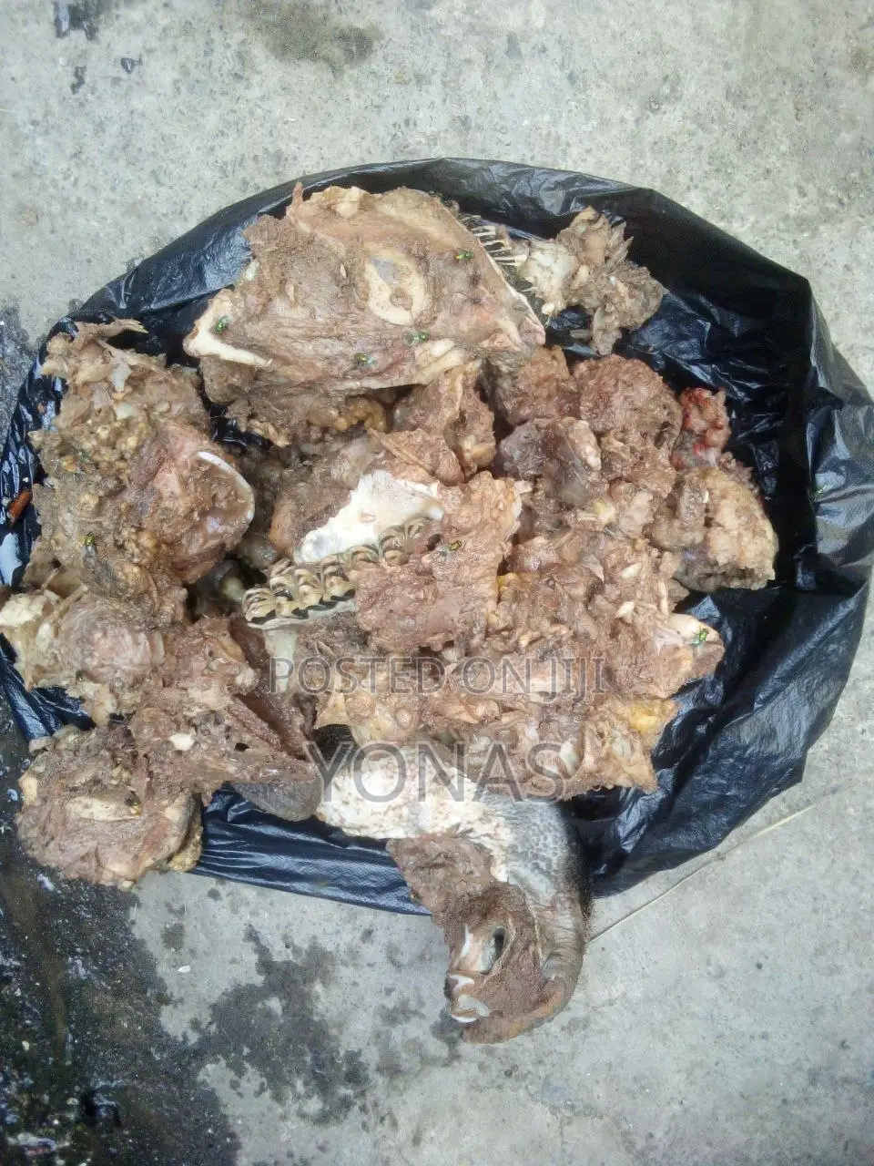 የዉሻ ምግብ የበግ፣የበሬ፣የፍየል ስጋ