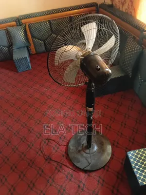 Standing Fan