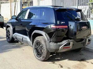 New BYD Leopard 3 2025 Blue