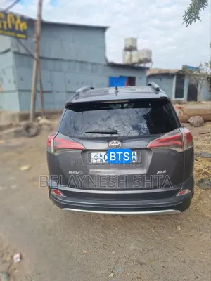 Toyota RAV4 2016 Brown