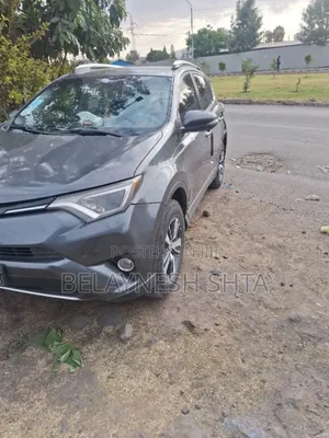 Toyota RAV4 2016 Brown