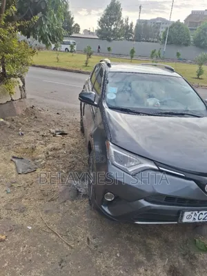 Toyota RAV4 2016 Brown