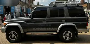 Toyota Land Cruiser 2014 Gray