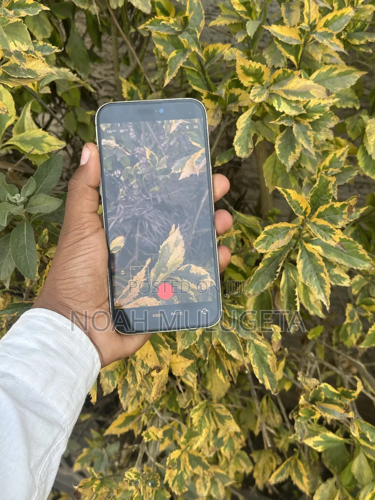 Apple iPhone 14 Pro Max 128 GB Gold