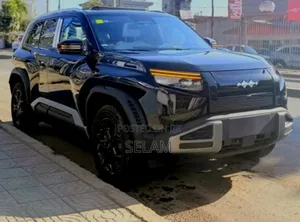 New BYD Leopard 3 2025 Gray