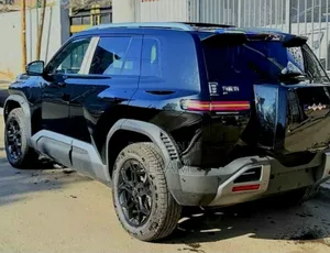 New BYD Leopard 3 2025 Gray