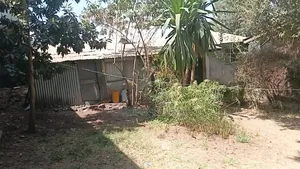 572 ካሬ ለድርጅት የተሰጠ ቦታ ወርቁ ሰፈር ዋና አስፓልት ላይ