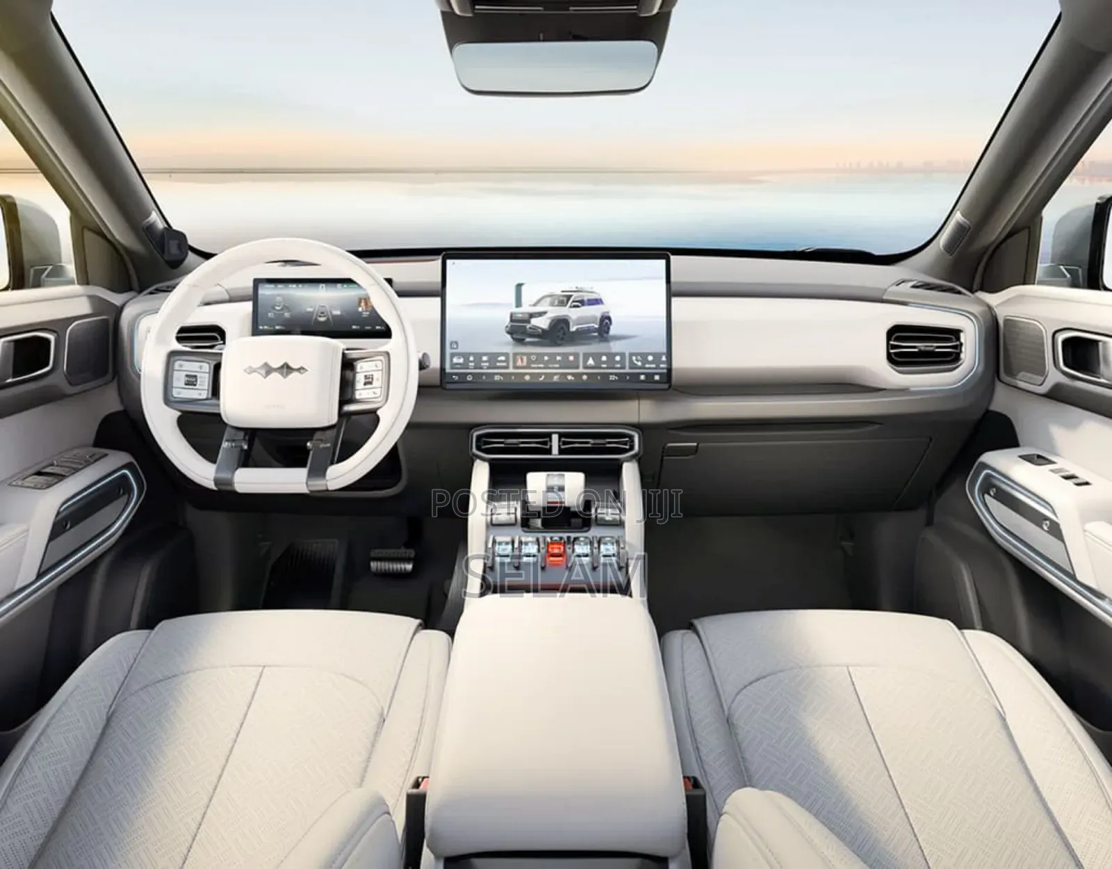 New BYD Leopard 3 2025 Gray