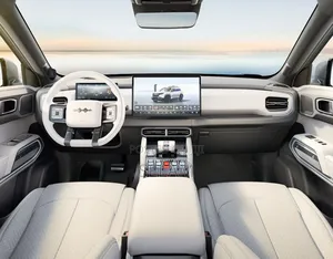 New BYD Leopard 3 2025 Gray