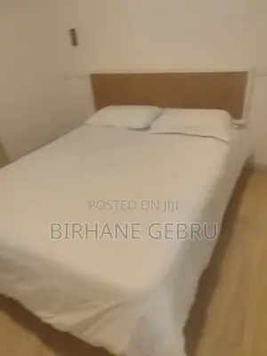 Furnished 3bdrm Apartment in Luxury Fernished, Bole for rent