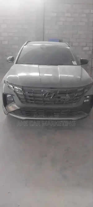 Hyundai Tucson N Line 2023 Gray