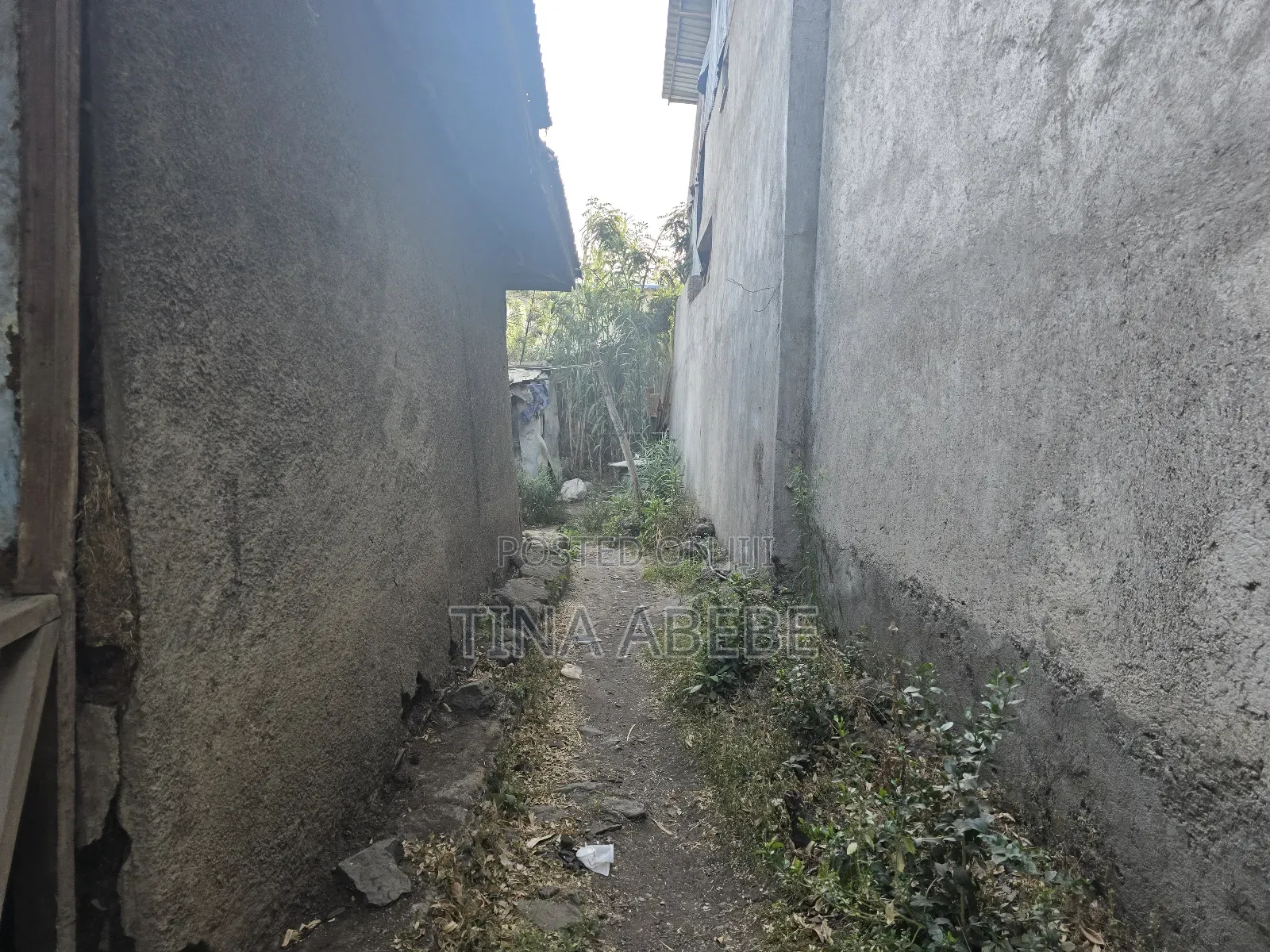 አስቸካይ የሚሸጥ ባታ