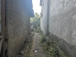 አስቸካይ የሚሸጥ ባታ