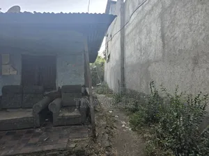 አስቸካይ የሚሸጥ ባታ