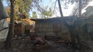 አስቸካይ የሚሸጥ ባታ