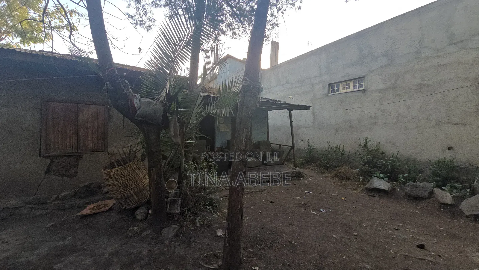 አስቸካይ የሚሸጥ ባታ