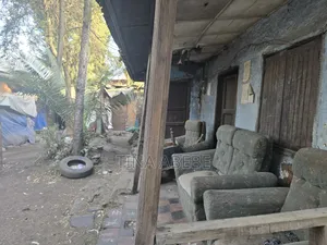 አስቸካይ የሚሸጥ ባቴ