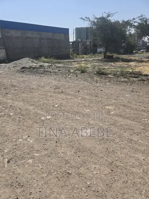 አስቸካይ የሚሸጥ የሊዝ ባታ