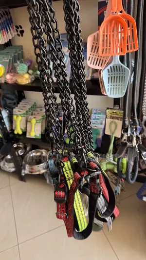 ጠንካራ Leash and Collar