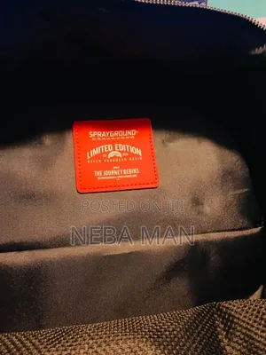 Bape Bag or Spray Ground