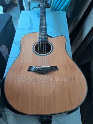 Fr. Antonio Semi Acoustic Guitar