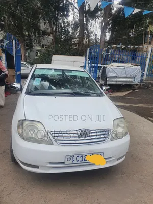 Toyota Corolla 2003 White