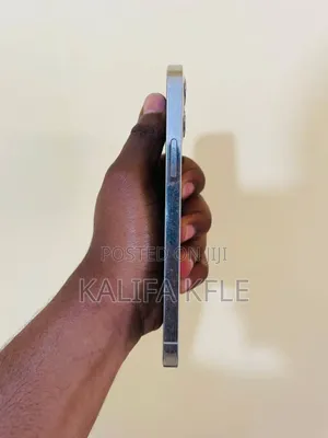 Apple iPhone 12 Pro Max 256 GB White