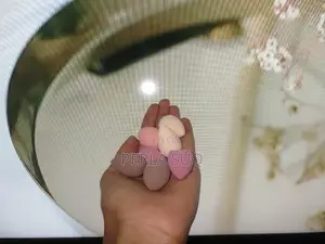 Makeup Sponge/Blender
