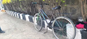 Bicycle and Tricycle