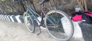 Bicycle and Tricycle