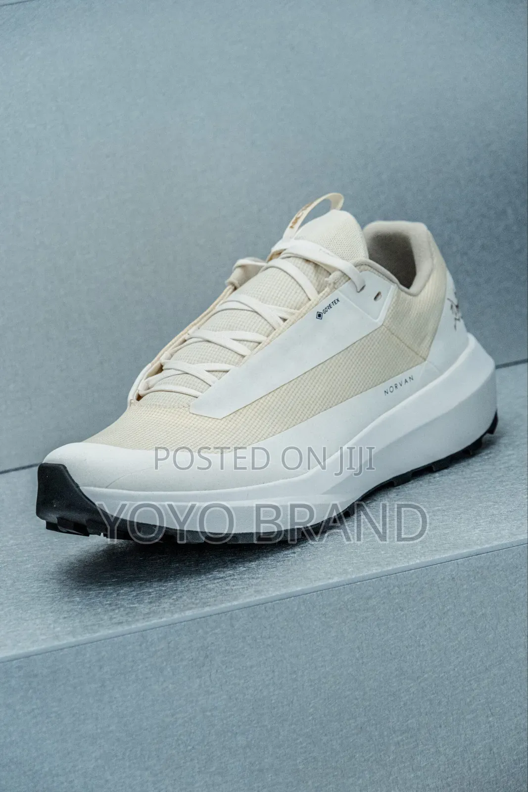 Arc-Teryx Norvan Gore-Tex Fashion Sneaker