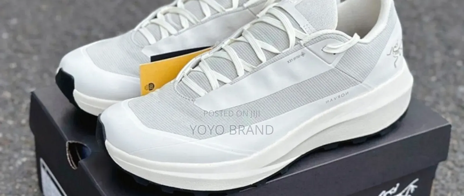 Arc-Teryx Norvan Gore-Tex Fashion Sneaker