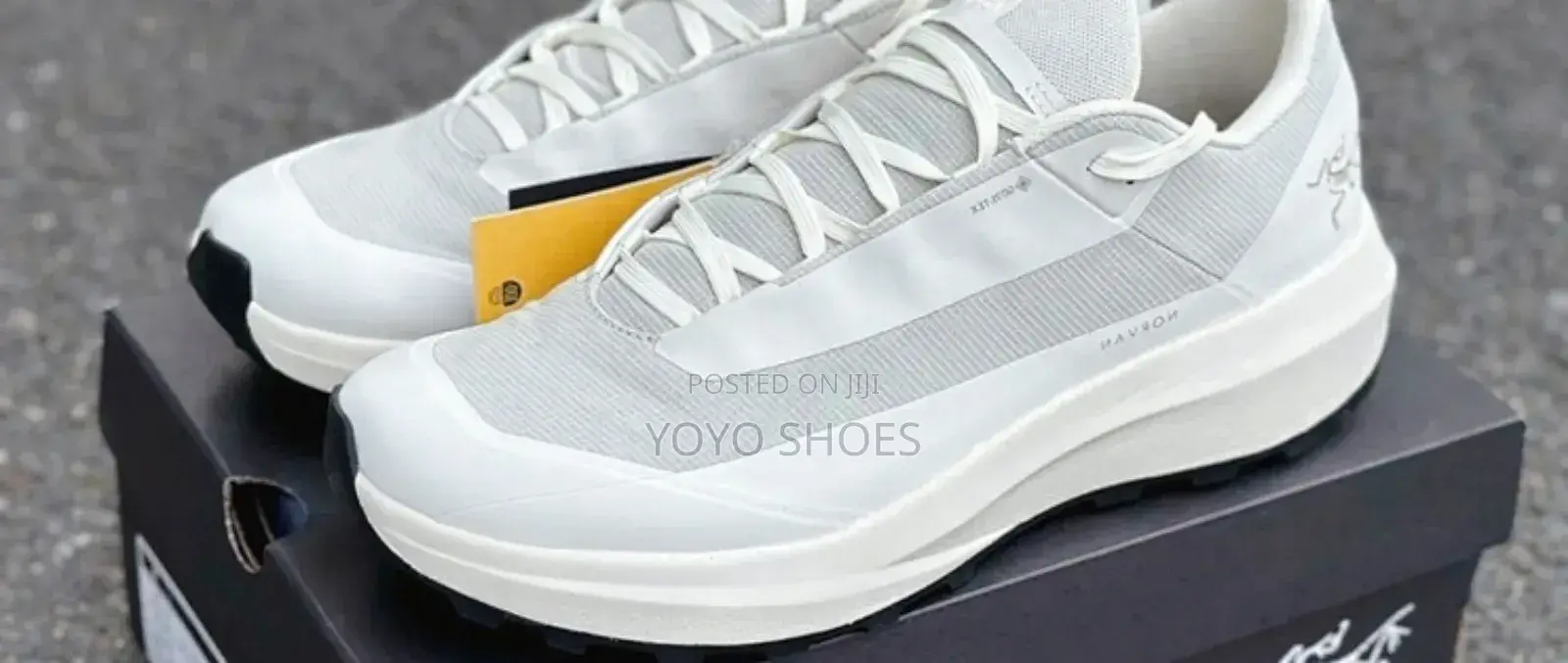 Arc-Teryx Norvan Gore-Tex Fashion Sneaker