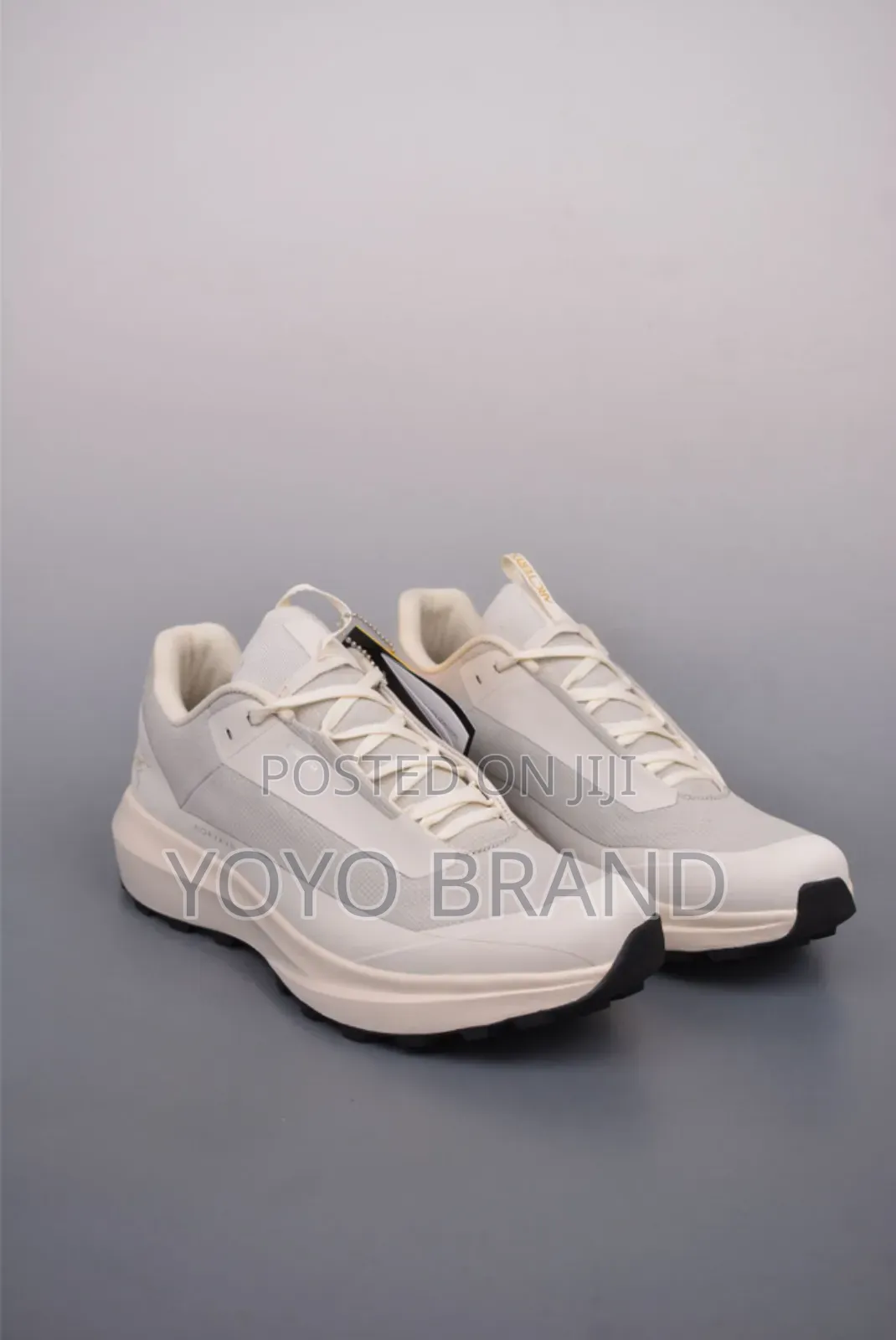 Arc-Teryx Norvan Gore-Tex Fashion Sneaker