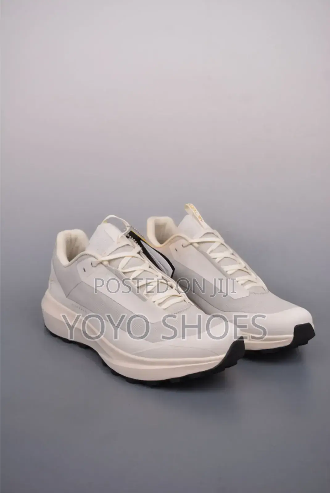 Arc-Teryx Norvan Gore-Tex Fashion Sneaker