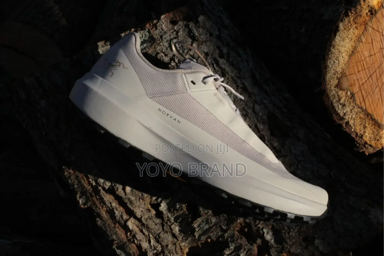 Arc-Teryx Norvan Gore-Tex Fashion Sneaker