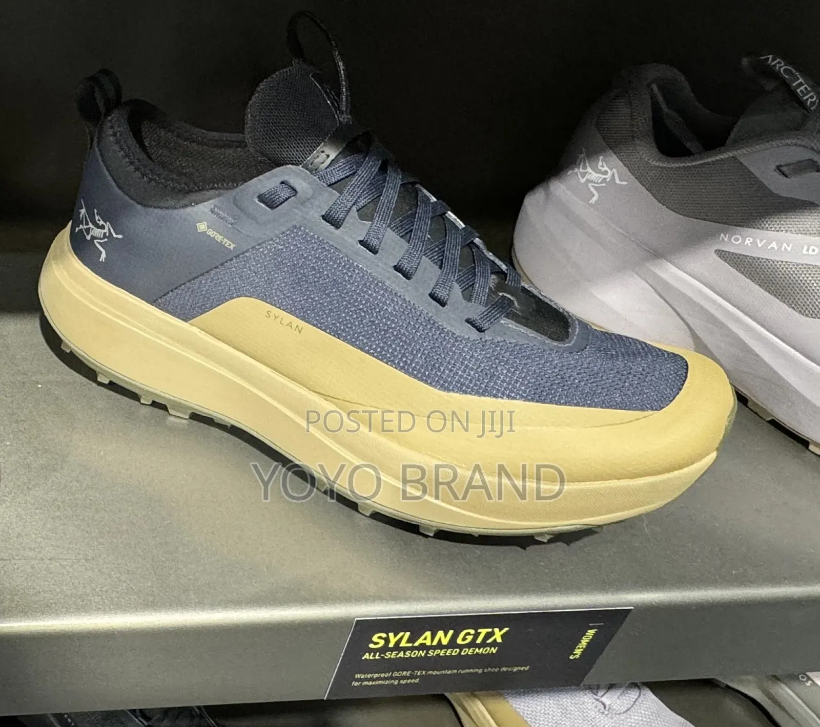 Sylan Gortex Blue Fashion Sneaker Shoes