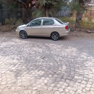 Toyota Platz 2005 Gold