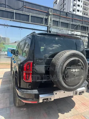 New BYD Leopard 7 2026 Matt Black