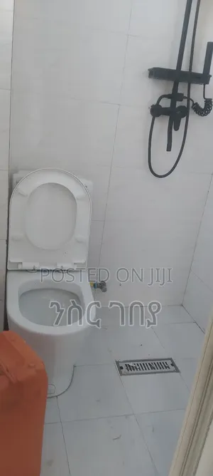 Furnished 2bdrm Condo in Ayat 49,40/60, Yeka for rent