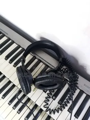 Sony MDR-7506 Professional Dynamic Stereo Headphones.