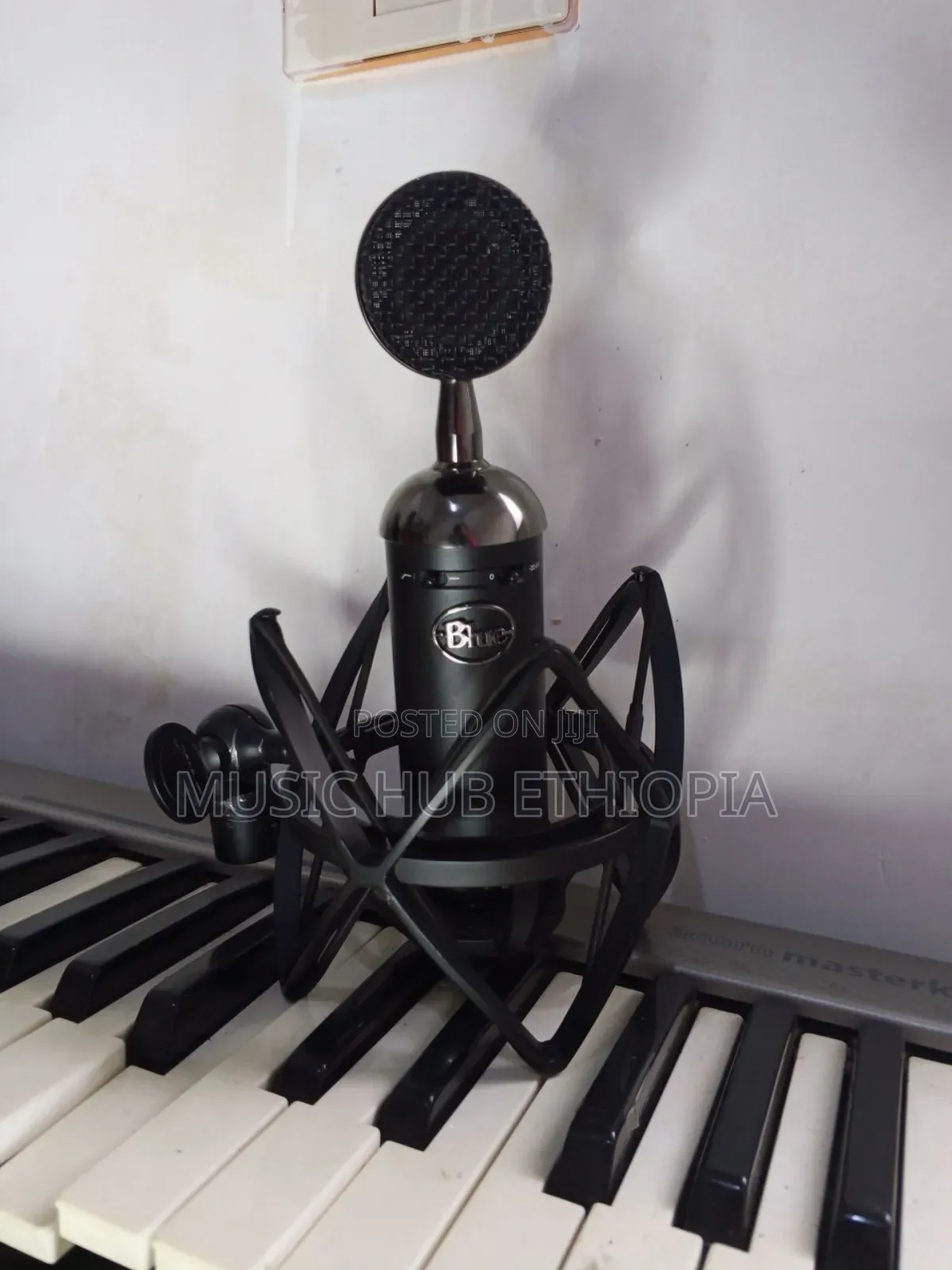 Blue Blackout Spark Sl XLR Condenser Microphone.
