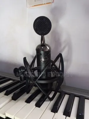 Blue Blackout Spark Sl XLR Condenser Microphone.