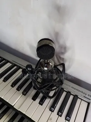 Blue Blackout Spark Sl XLR Condenser Microphone.