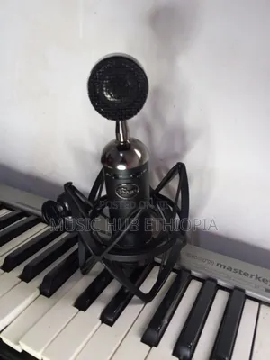 Blue Blackout Spark Sl XLR Condenser Microphone.