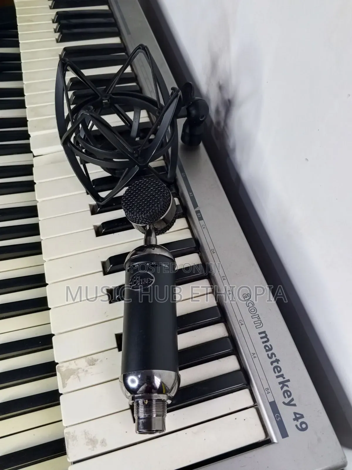 Blue Blackout Spark Sl XLR Condenser Microphone.