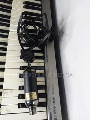 Blue Blackout Spark Sl XLR Condenser Microphone.