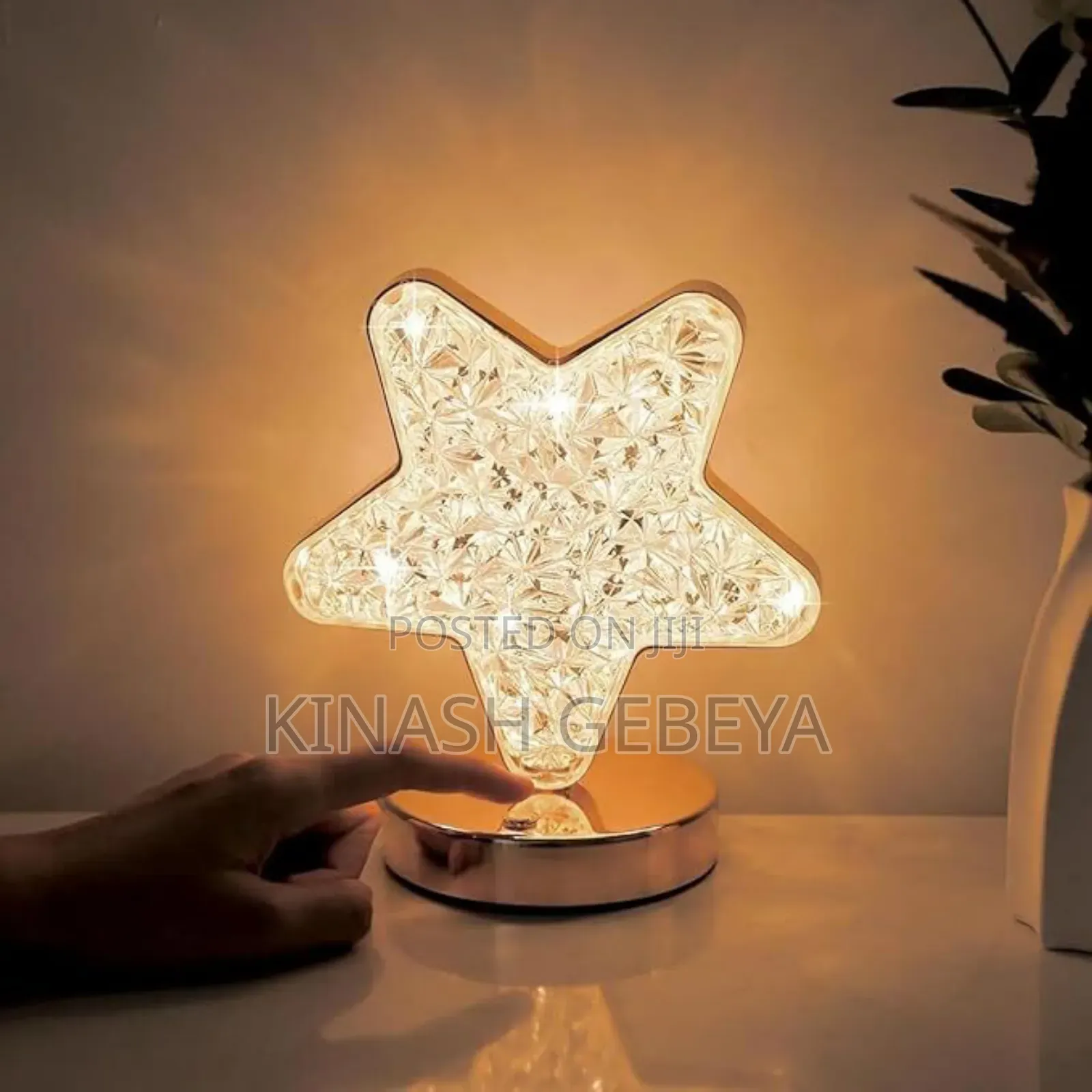 Rechargeable Crystal Table Lamp